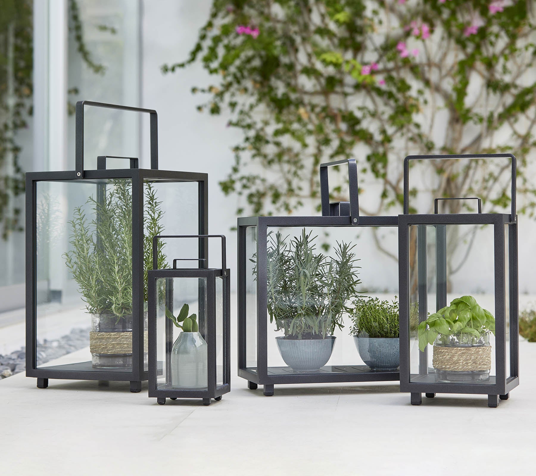 Four geometric glass lanterns featuring various potted plants inside, showcasing modern design and greenery.