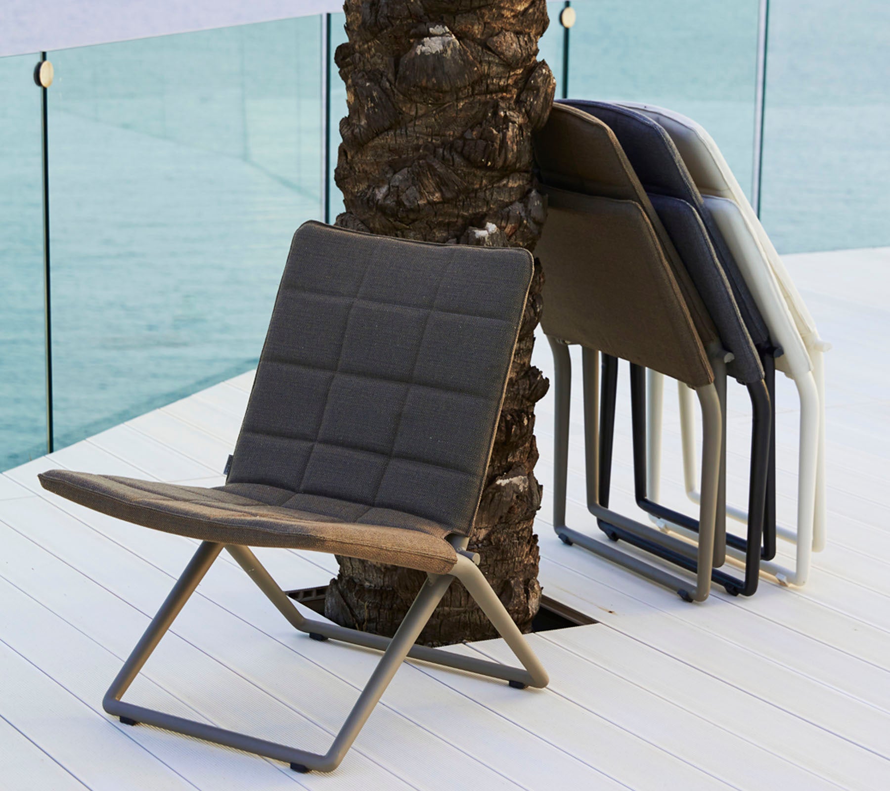 Two stylish, modern chairs in different colors, featuring a contemporary design with a sleek metal frame, leaning against a palm tree.